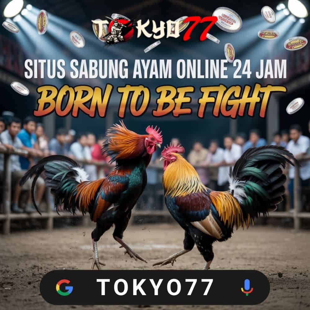 Slot777 Guide for Beginners: How to Get Started Easily